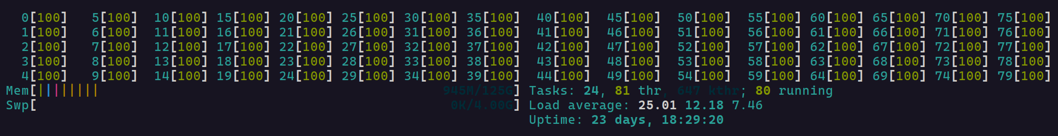 htop output, showing 80 cores at high utilization